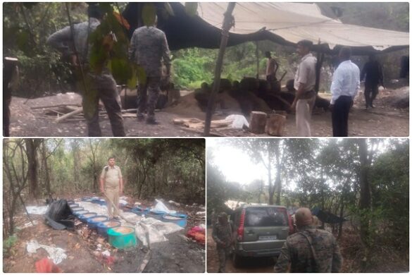 Jamshedpur : सुखलेड़ा के दुर्गम जंगलों में अवैध शराब भट्ठी ध्वस्त, 14,000 किलो जावा महुआ नष्ट, अंधेरे और दुर्गम रास्तों का फायदा उठाकर आरोपी फरार